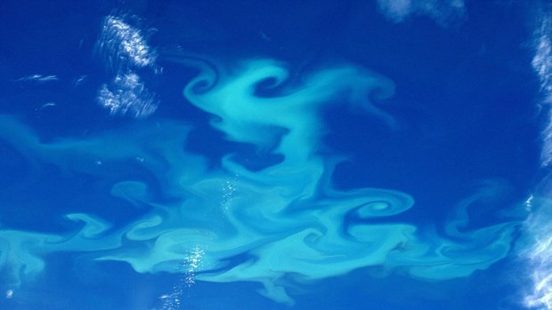 Astronotların paylaşım rekorları kıran kareleri 14