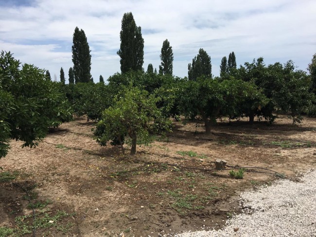 İşte Atalay Filiz'in saklandığı dehlizler 4