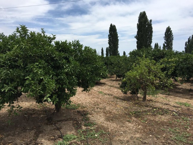 İşte Atalay Filiz'in saklandığı dehlizler 5