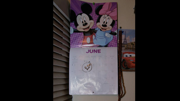 İşte Orlando saldırganının evi 10