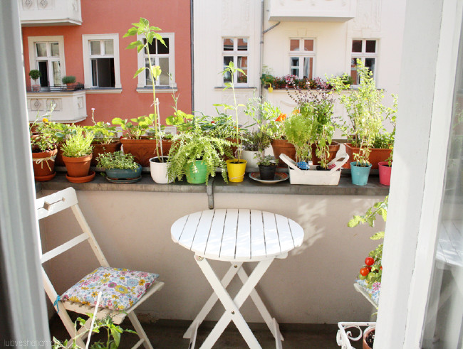 Türkler balkondan niye vazgeçti? 7