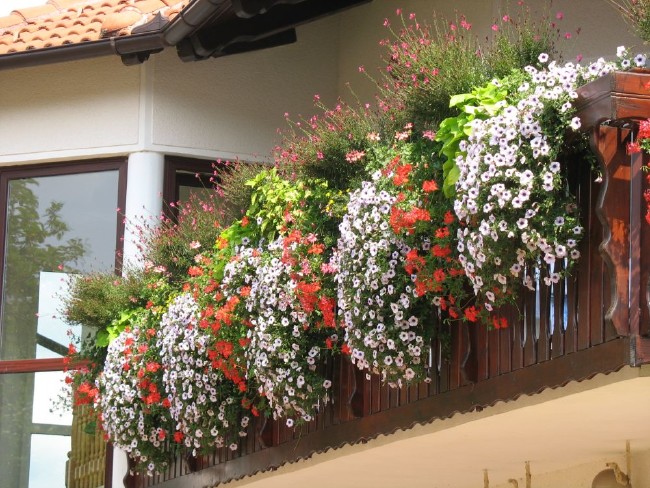 Türkler balkondan niye vazgeçti? 9