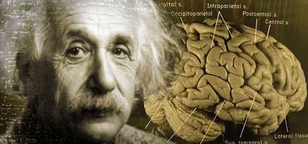 Einstein'in bilinmeyen yönleri 49