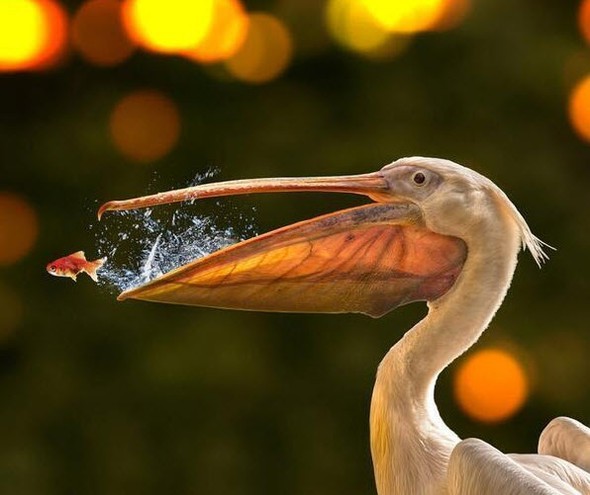 hayatı durduran fotoğraflar 12