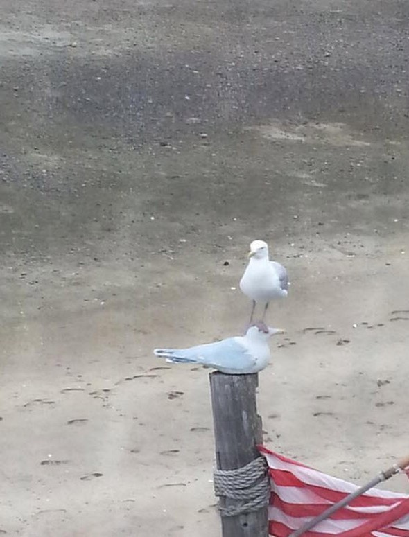 hayatı durduran fotoğraflar 13