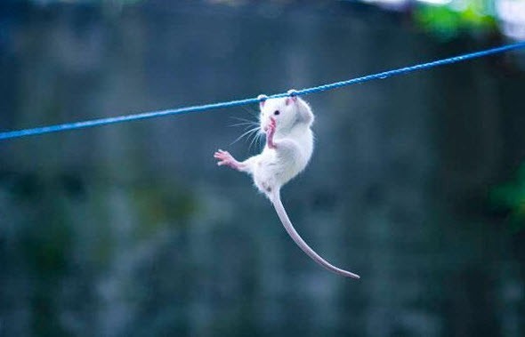 hayatı durduran fotoğraflar 16