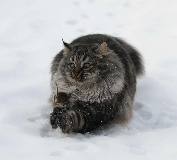 hayatı durduran fotoğraflar 21