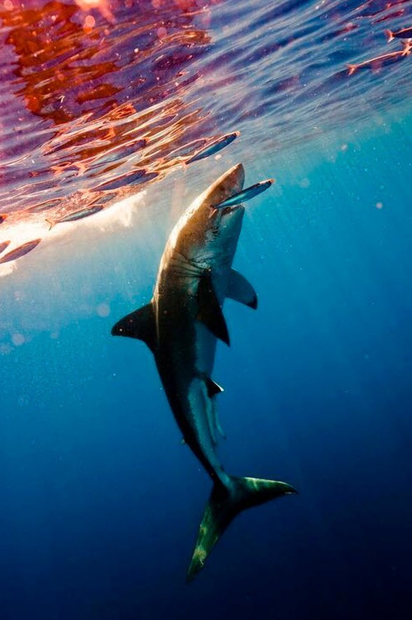 hayatı durduran fotoğraflar 26