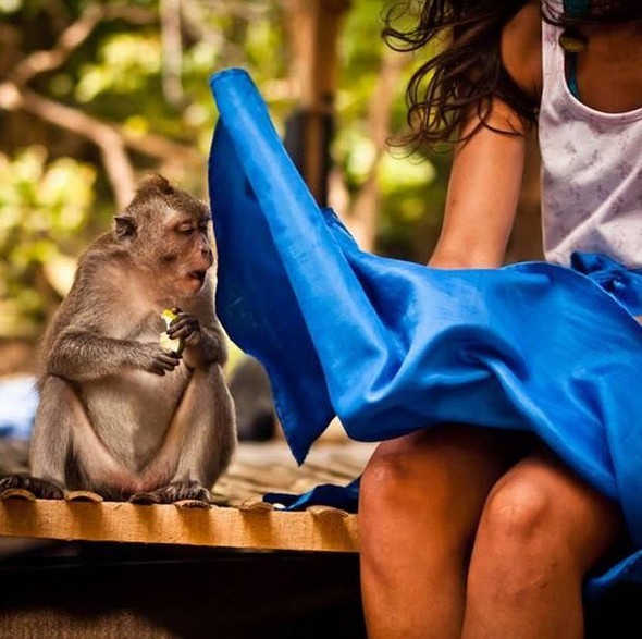 hayatı durduran fotoğraflar 34