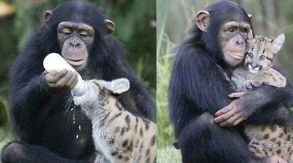 hayatı durduran fotoğraflar 3