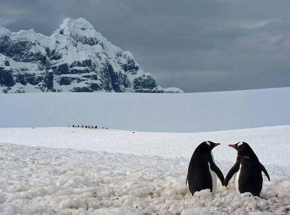 hayatı durduran fotoğraflar 44