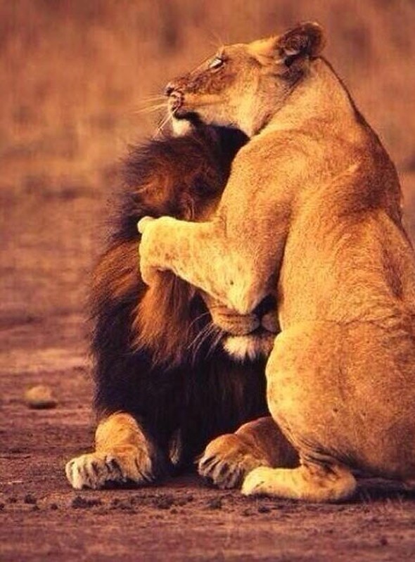 hayatı durduran fotoğraflar 45