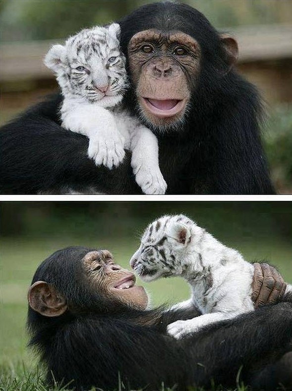 hayatı durduran fotoğraflar 51