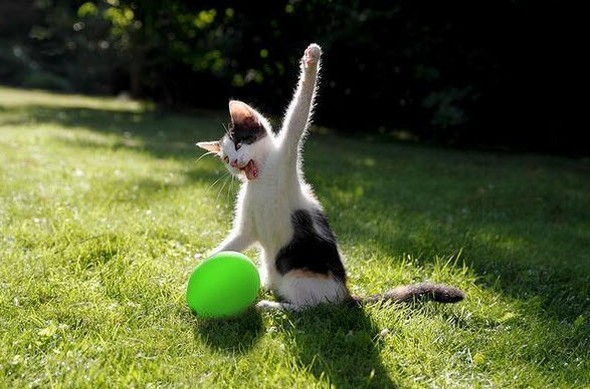 hayatı durduran fotoğraflar 56