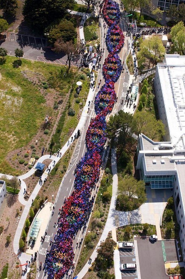 hayatı durduran fotoğraflar 8