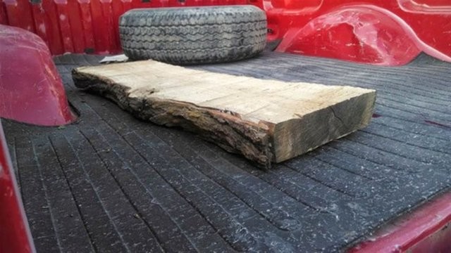 Yetenekli teklif uzmanları 12