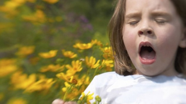 Alerjik çocuklar için yaz avantajı 6
