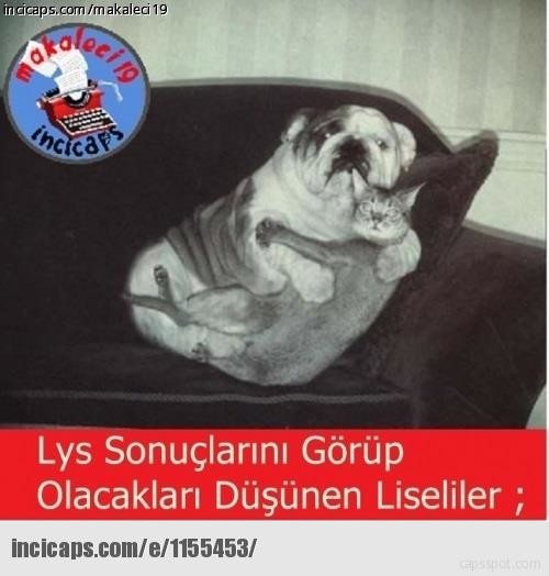 En komik 2016 LYS capsleri 19