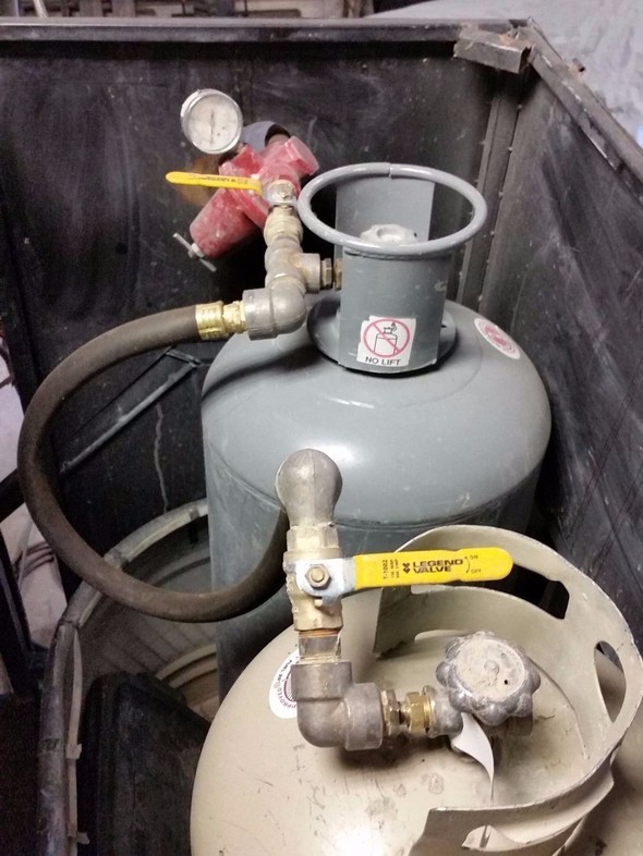 Rus mühendisin dev akrebi görenleri dehşete düşürüyor 11