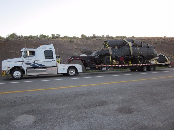 Rus mühendisin dev akrebi görenleri dehşete düşürüyor 7