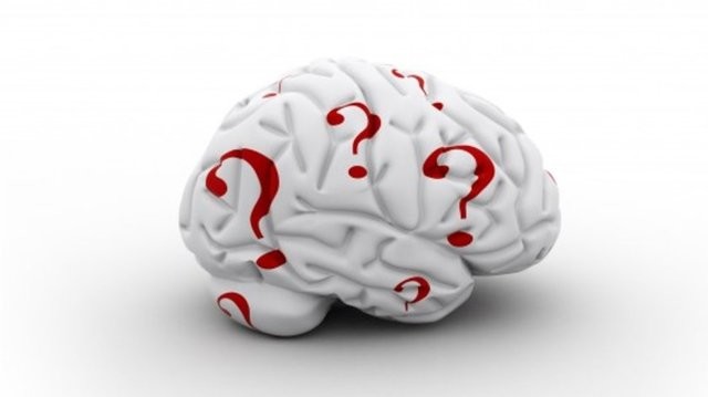 Bir haftada IQ'nuzu yüzde 40 artırın 1