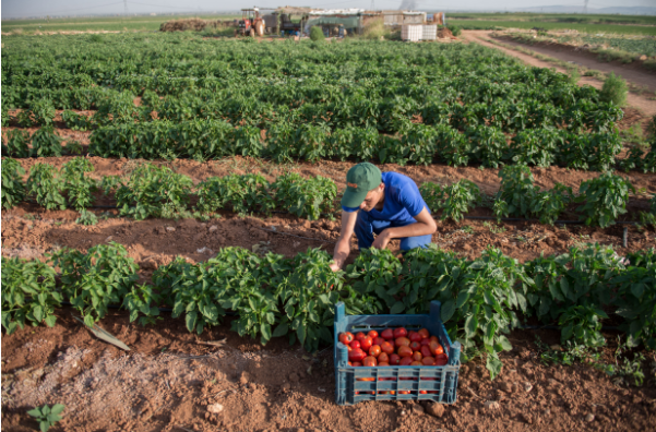 Ramazanda en zor meslekler 14