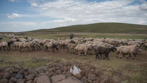 Ramazanda en zor meslekler 13