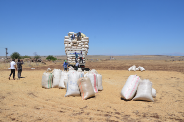 Ramazanda en zor meslekler 8