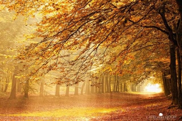 Ölmeden görülmesi gereken yerler 66