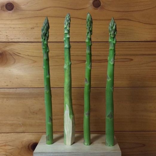 Sakın yemeyin pişman olursunuz 10