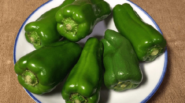 Sakın yemeyin pişman olursunuz 14