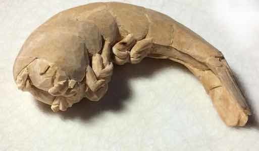 Sakın yemeyin pişman olursunuz 16