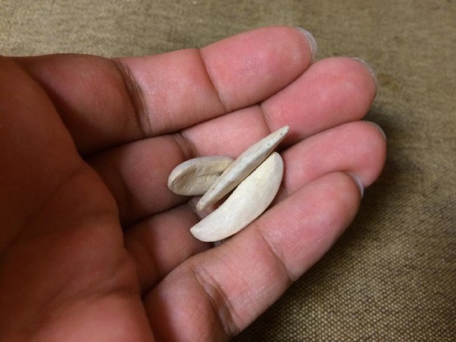 Sakın yemeyin pişman olursunuz 36