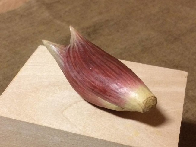 Sakın yemeyin pişman olursunuz 39