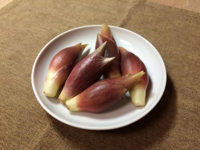 Sakın yemeyin pişman olursunuz 40