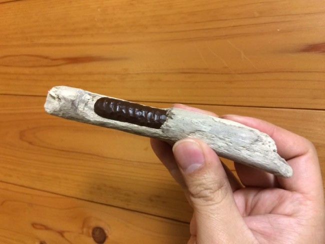 Sakın yemeyin pişman olursunuz 52