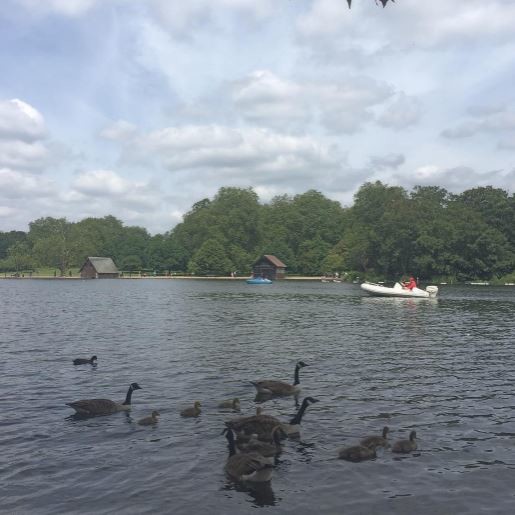 Instagram'da Ünlüler -23.06.2016 19