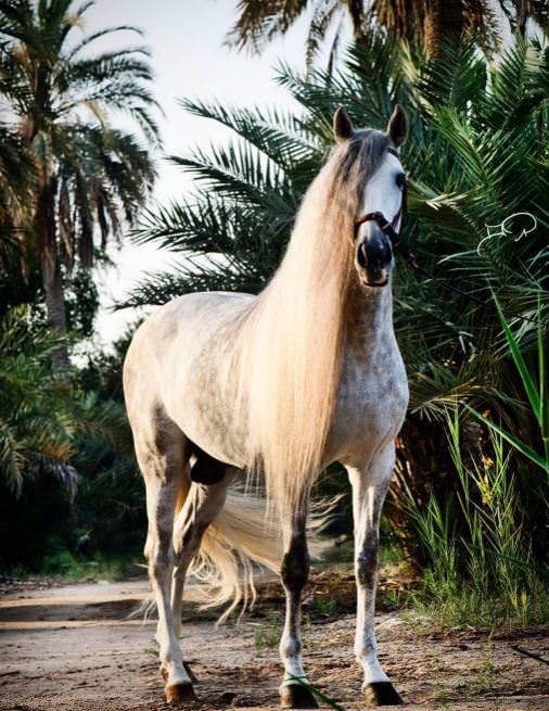 Instagram'da Ünlüler -23.06.2016 2