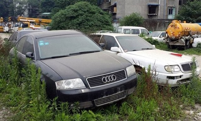 Hepsi servet değerinde, çürümeye bırakıldılar 1