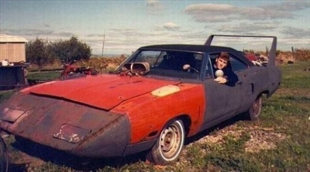 Hepsi servet değerinde, çürümeye bırakıldılar 12