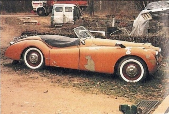 Hepsi servet değerinde, çürümeye bırakıldılar 13