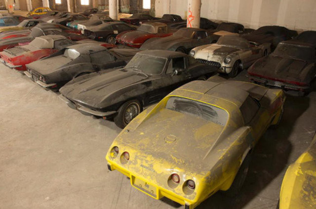 Hepsi servet değerinde, çürümeye bırakıldılar 14