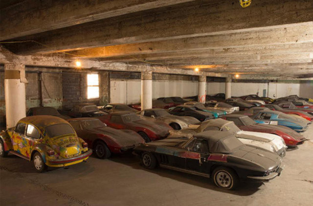 Hepsi servet değerinde, çürümeye bırakıldılar 15