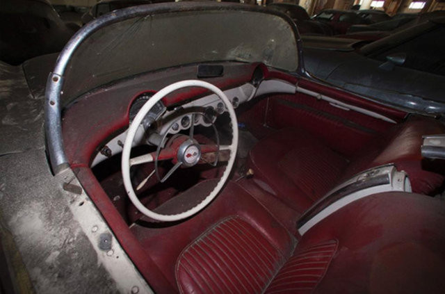 Hepsi servet değerinde, çürümeye bırakıldılar 16