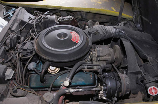 Hepsi servet değerinde, çürümeye bırakıldılar 17