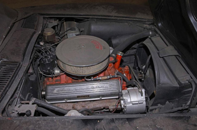 Hepsi servet değerinde, çürümeye bırakıldılar 20