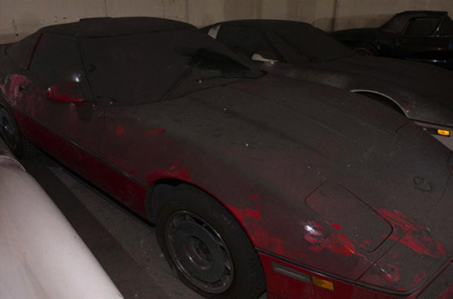 Hepsi servet değerinde, çürümeye bırakıldılar 21