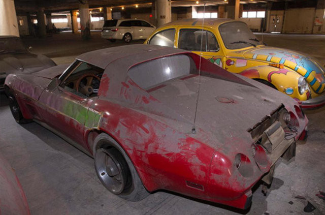 Hepsi servet değerinde, çürümeye bırakıldılar 22