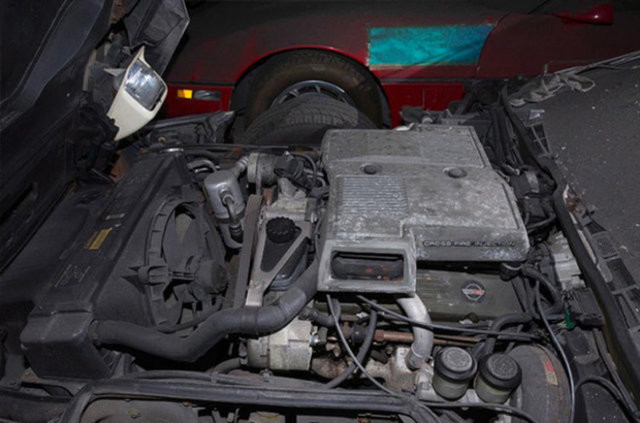 Hepsi servet değerinde, çürümeye bırakıldılar 23