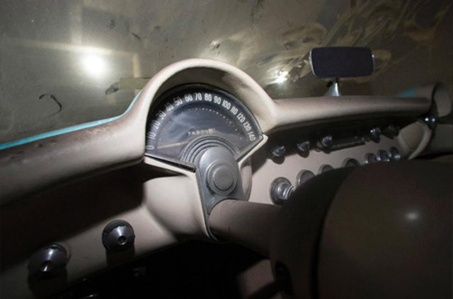 Hepsi servet değerinde, çürümeye bırakıldılar 24